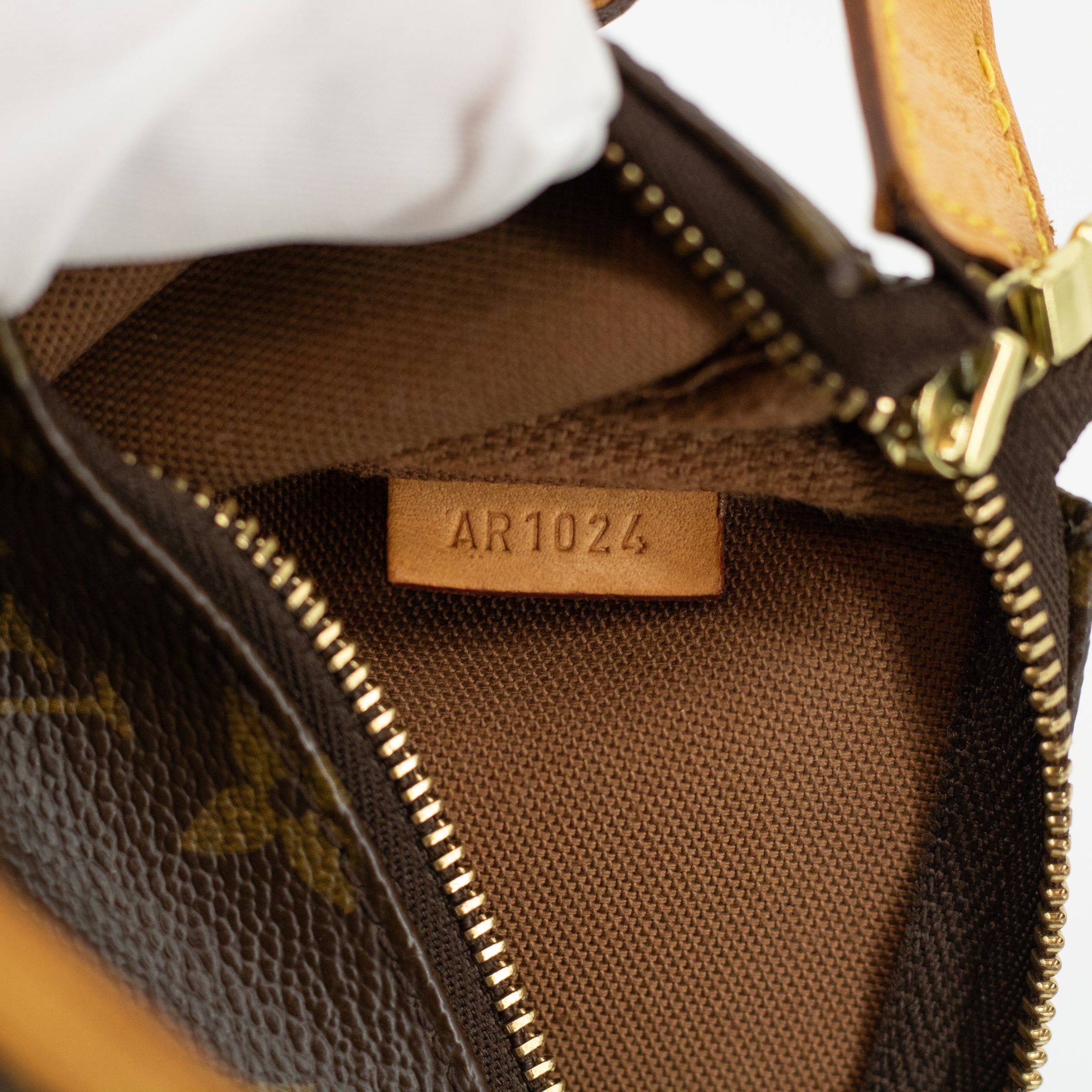 Louis Vuitton Monogram Canvas Pochette Accessoires Bag