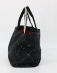 Chanel Black Nylon Quilted Old Travel Line Tote Bag